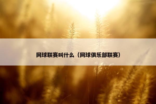 网球联赛叫什么（网球俱乐部联赛）