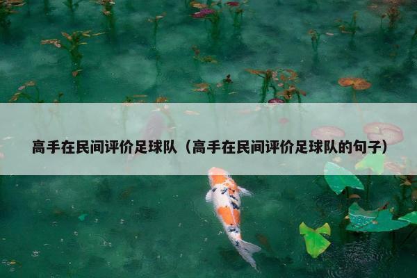 高手在民间评价足球队（高手在民间评价足球队的句子）