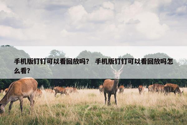 手机版钉钉可以看回放吗? 手机版钉钉可以看回放吗怎么看? 手机版钉钉可以看回放吗? 手机版钉钉可以看回放吗怎么看?