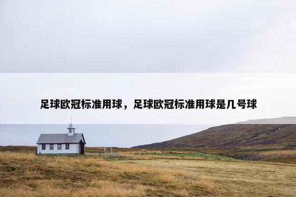 足球欧冠标准用球,足球欧冠标准用球是几号球 足球欧冠标准用球,足球欧冠标准用球是几号球