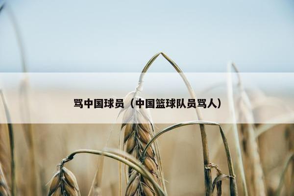 骂中国球员（中国篮球队员骂人）