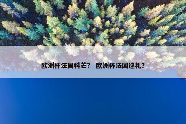 欧洲杯法国科芒？ 欧洲杯法国巡礼？