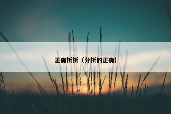 正确析析（分析的正确）