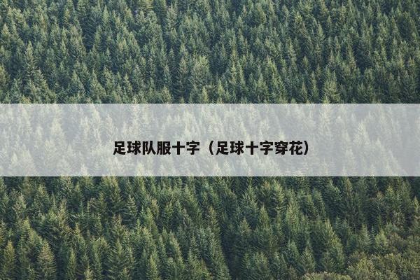 足球队服十字（足球十字穿花）