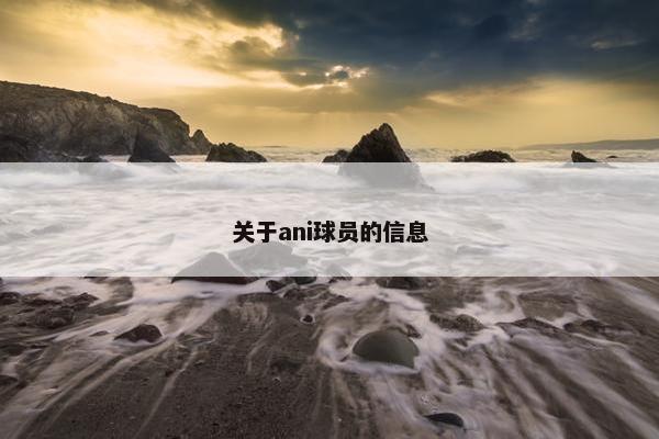 关于ani球员的信息