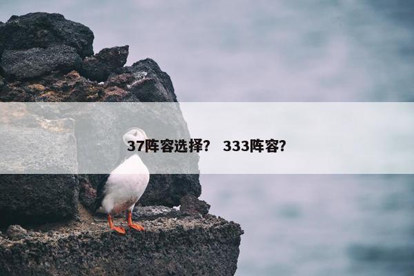 37阵容选择? 333阵容? 37阵容选择? 333阵容?