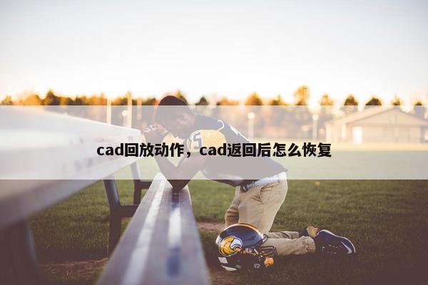 cad回放动作,cad返回后怎么恢复 cad回放动作,cad返回后怎么恢复