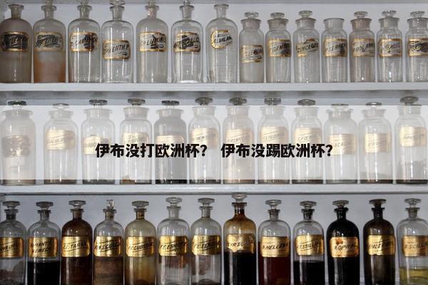 伊布没打欧洲杯? 伊布没踢欧洲杯? 伊布没打欧洲杯? 伊布没踢欧洲杯?