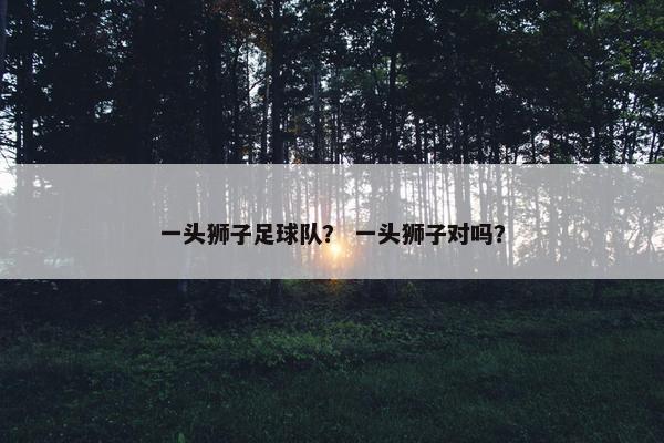 一头狮子足球队？ 一头狮子对吗？