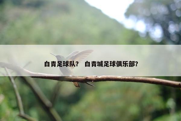 白青足球队？ 白青城足球俱乐部？