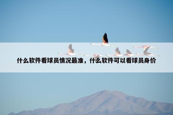 什么软件看球员情况最准，什么软件可以看球员身价