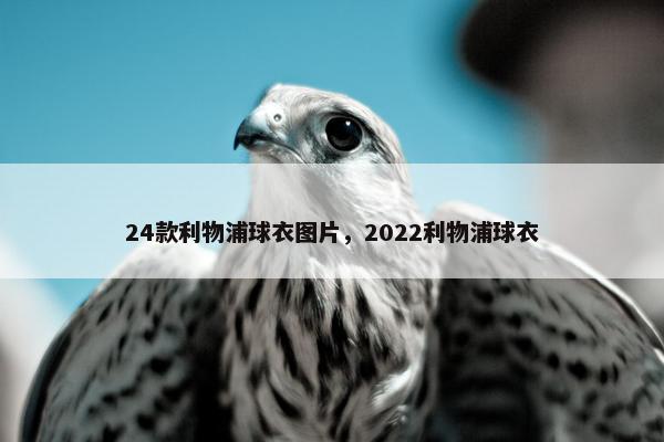 24款利物浦球衣图片，2022利物浦球衣
