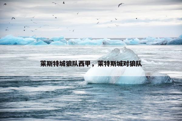 莱斯特城狼队西甲，莱特斯城对狼队