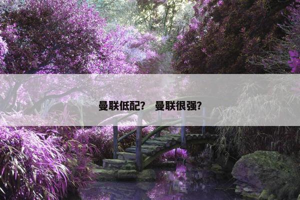 曼联低配？ 曼联很强？