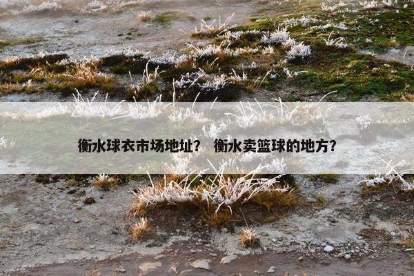 衡水球衣市场地址? 衡水卖篮球的地方? 衡水球衣市场地址? 衡水卖篮球的地方?