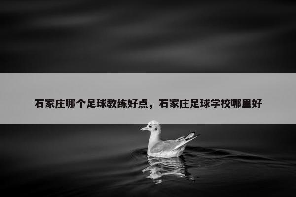 石家庄哪个足球教练好点，石家庄足球学校哪里好
