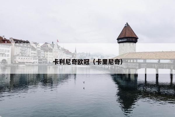 卡利尼奇欧冠（卡里尼奇）