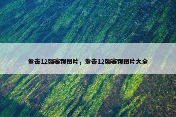 拳击12强赛程图片，拳击12强赛程图片大全