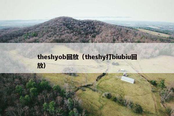 theshyob回放（theshy打biubiu回放）