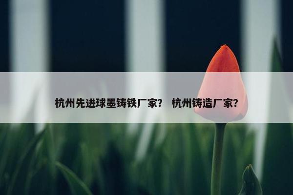 杭州先进球墨铸铁厂家？ 杭州铸造厂家？