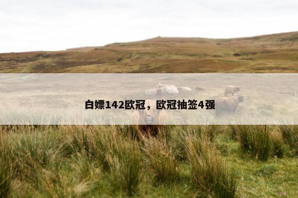 白嫖142欧冠，欧冠抽签4强