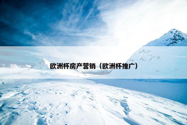 欧洲杯房产营销（欧洲杯推广）