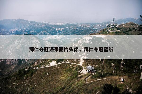 拜仁夺冠语录图片头像，拜仁夺冠壁纸