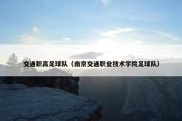 交通职高足球队（南京交通职业技术学院足球队）