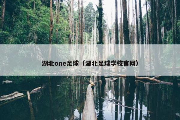 湖北one足球（湖北足球学校官网）