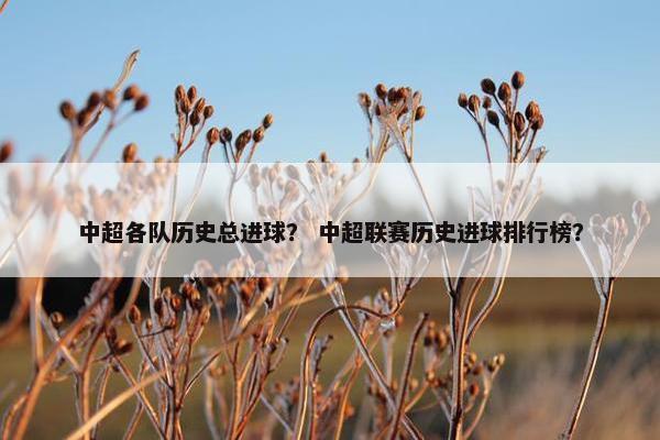 中超各队历史总进球? 中超联赛历史进球排行榜? 中超各队历史总进球? 中超联赛历史进球排行榜?