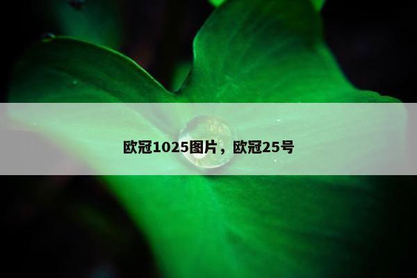 欧冠1025图片，欧冠25号