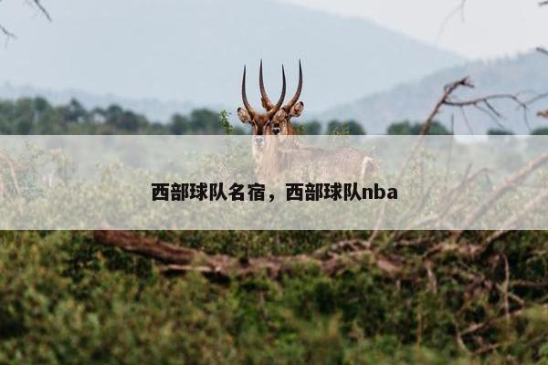 西部球队名宿，西部球队nba