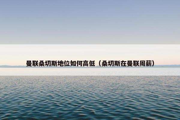 曼联桑切斯地位如何高低（桑切斯在曼联周薪）