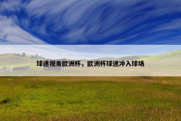 球迷视角欧洲杯，欧洲杯球迷冲入球场