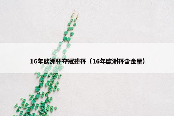 16年欧洲杯夺冠捧杯（16年欧洲杯含金量）