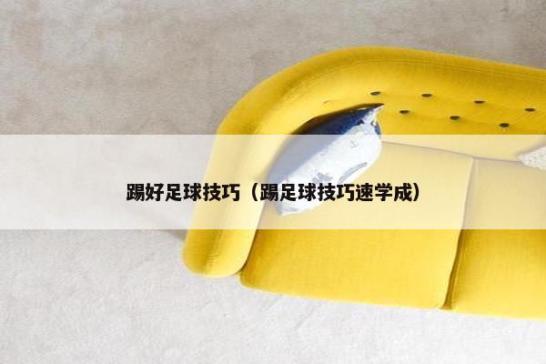 踢好足球技巧（踢足球技巧速学成）