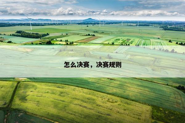 怎么决赛，决赛规则