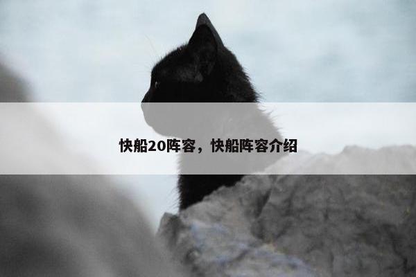 快船20阵容,快船阵容介绍 快船20阵容,快船阵容介绍