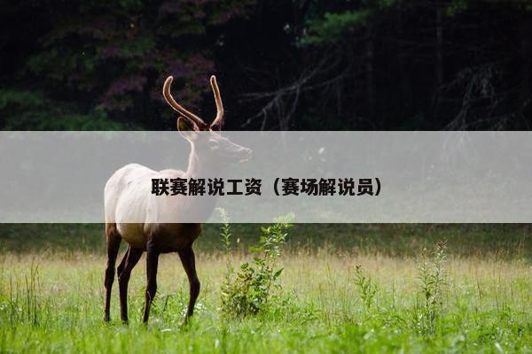 联赛解说工资（赛场解说员）