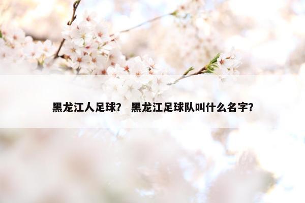黑龙江人足球？ 黑龙江足球队叫什么名字？