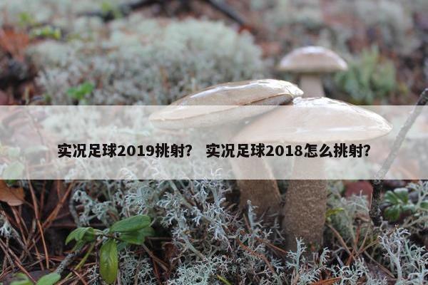 实况足球2019挑射？ 实况足球2018怎么挑射？