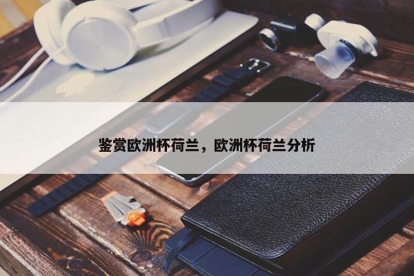 鉴赏欧洲杯荷兰，欧洲杯荷兰分析