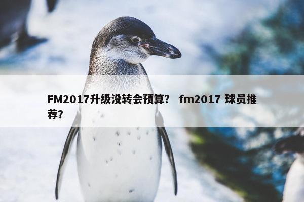 FM2017升级没转会预算？ fm2017 球员推荐？