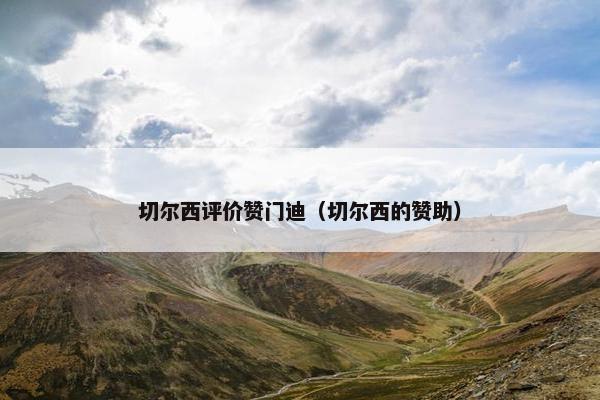 切尔西评价赞门迪（切尔西的赞助）