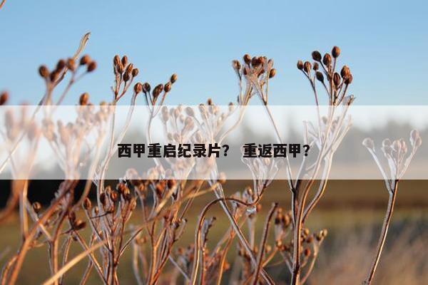 西甲重启纪录片? 重返西甲? 西甲重启纪录片? 重返西甲?