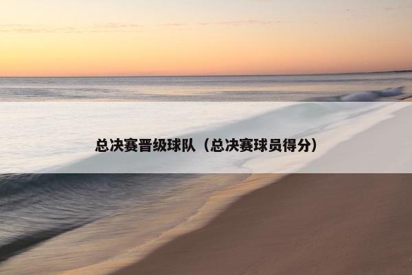 总决赛晋级球队（总决赛球员得分）
