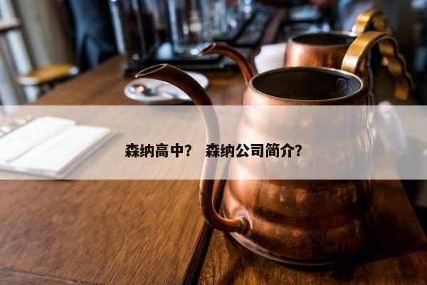 森纳高中? 森纳公司简介? 森纳高中? 森纳公司简介?